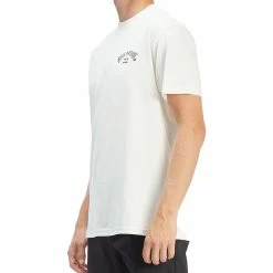 Billabong Mens Arch Fill Short Sleeve T Shirt 10 Billabong Mens Arch Fill Short Sleeve T Shirt -Children's Clothing Store 4c2547a5 0a1a 4885 aae8 00d91956345d