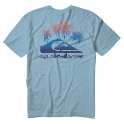 Quiksilver Mens Pastime Paradise MTZ T Shirt